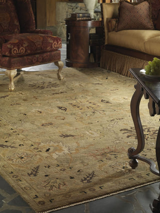 Ancient Boundaries Omni OMN-21 Area Rug Closeup Image