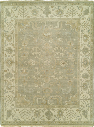 Ancient Boundaries Omni OMN-32 Area Rug Main Image