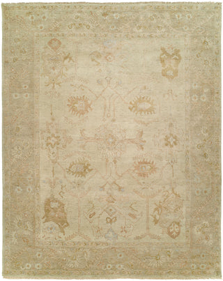 Ancient Boundaries Omni OMN-33 Area Rug Main Image