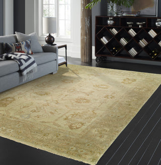 Ancient Boundaries Omni OMN-33 Area Rug Lifestyle Image