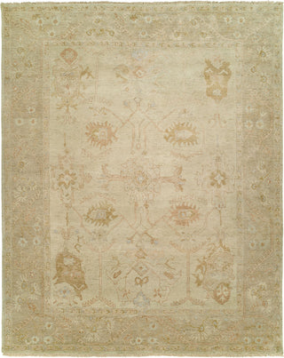 Ancient Boundaries Omni OMN-33 Area Rug Main Image