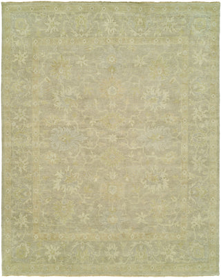 Ancient Boundaries Omni OMN-34 Area Rug Main Image
