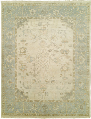 Ancient Boundaries Omni OMN-35 Area Rug Main Image