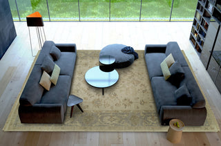 Ancient Boundaries Omni OMN-35 Area Rug Lifestyle Image