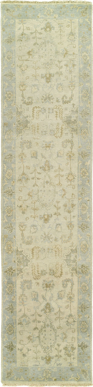 Ancient Boundaries Omni OMN-35 Area Rug Runner Image
