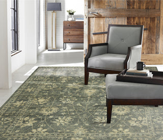 Ancient Boundaries Omni OMN-37 Area Rug Closeup Image