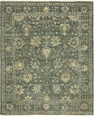 Ancient Boundaries Omni OMN-37 Area Rug Main Image