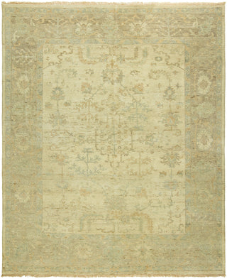 Ancient Boundaries Omni OMN-38 Area Rug Main Image