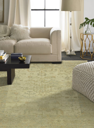 Ancient Boundaries Omni OMN-38 Area Rug Lifestyle Image