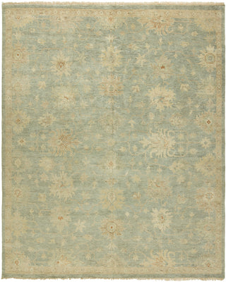 Ancient Boundaries Omni OMN-39 Area Rug Main Image