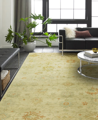 Ancient Boundaries Omni OMN-40 Area Rug Closeup Image