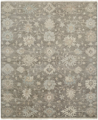 Ancient Boundaries Omni OMN-41 Area Rug Main Image