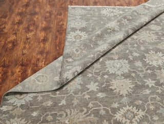 Ancient Boundaries Omni OMN-41 Area Rug Alternative Image