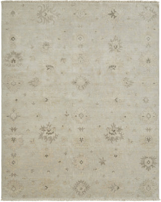 Ancient Boundaries Omni OMN-476 Beige Area Rug Main Image