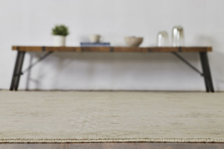 Ancient Boundaries Omni OMN-476 Beige Area Rug Alternative Image