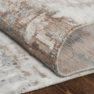 Ancient Boundaries Henri HEN-1165 Travertine/Dusty Rose Area Rug Texture Image