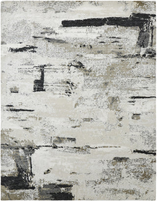 Ancient Boundaries Henri HEN-1162 Grey Area Rug Main Image