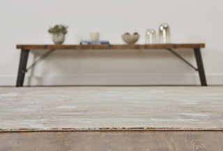 Ancient Boundaries Henri HEN-1165 Travertine/Dusty Rose Area Rug Alternative Image