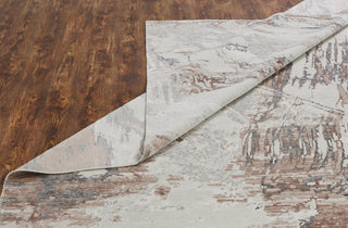 Ancient Boundaries Henri HEN-1165 Travertine/Dusty Rose Area Rug Alternative Image