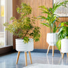 Surya Orchid ORC-003 White Style Shot Feature