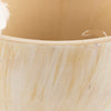 Surya Orchid ORC-004 Beige Swatch