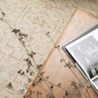 Oriental Weavers Acacia ACA02 Beige/ Brown Area Rug Main Image