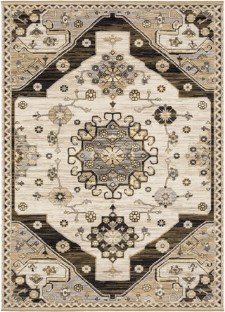 Oriental Weavers Acacia ACA04 Brown/ Grey Area Rug Main Image