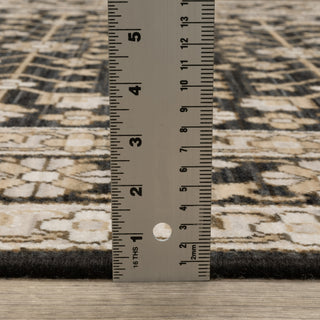 Oriental Weavers Acacia ACA10 Black/ Beige Area Rug Pile Image