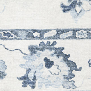 Oriental Weavers Addison ADD02 Ivory/ Blue Machine Washable Area Rug by PRINTS Close-up Image