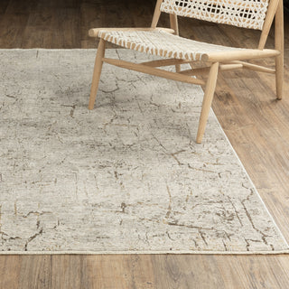 Oriental Weavers Branigan BRG05 Beige / Gold Area Rug Lifestyle Image Feature