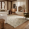 Oriental Weavers Caroline CRL04 Brown/ Beige Area Rug Lifestyle Image Feature