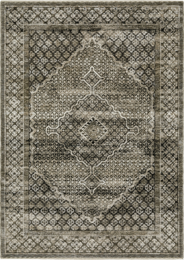 Oriental Weavers Chamberlain CH02D Grey/Beige Area Rug