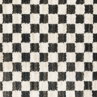 Oriental Weavers Hunter HNT02 Black / Ivory Area Rug Close-up Image