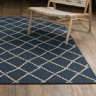 Oriental Weavers Meridian 4295B Blue / Ivory Area Rug Lifestyle Image Feature