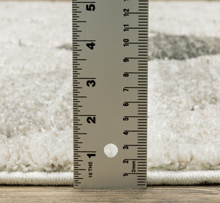 Oriental Weavers Cambria 4928A Beige/Grey Area Rug 