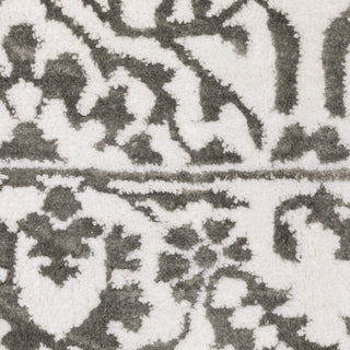 Oriental Weavers Montecito 2062H Grey/White Area Rug 
