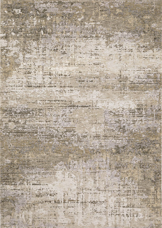 Oriental Weavers Nebulous 001H9 Beige/Grey Area Rug 