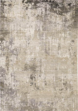 Oriental Weavers Nebulous 002X9 Beige/Grey Area Rug 