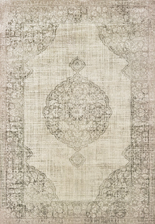 Oriental Weavers Raleigh 099D5 Ivory Grey Area Rug 