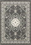 Oriental Weavers RAYLAN RAY02 Grey/ Ivory Area Rug main image