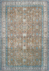 Oriental Weavers Sofia 85818 Gold Blue Area Rug 