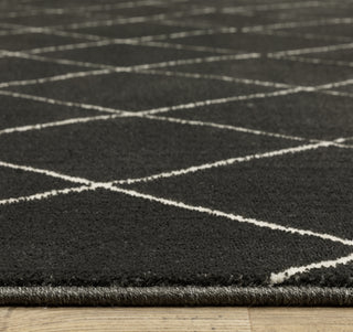 Oriental Weavers RAYLAN RAY12 Black/ Ivory Area Rug Pile Image