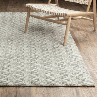 Oriental Weavers Wonder WON01 Grey/ Ivory Area Rug Lifestyle Image Feature