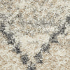 Nourison Oslo Shag OSL01 Ivory/Grey Area Rug Swatch Image