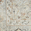 Nourison Oushak Home OUS02 Light Grey Area Rug Swatch Image