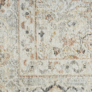 Nourison Oushak Home OUS02 Light Grey Area Rug Swatch Image