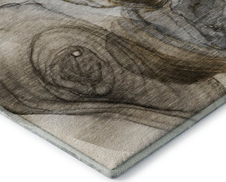 Dalyn Odyssey OY9 Beige Machine Washable Area Rug