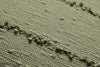 Loloi Pillows PLL0191 Moss Main Image
