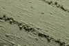 Loloi II Pillow PLL0191 Moss Closeup Image