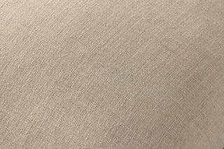 Loloi Pillows PLL0197 Natural / Blue Main Image